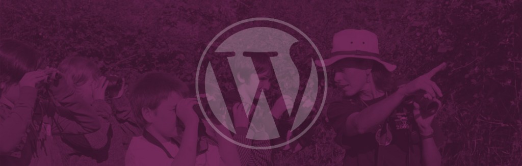 What to look for in a WordPress support company