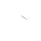 The Rigorous Digital logo; a large "R"